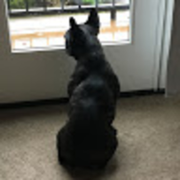 Meet your Posher, Monica - Picture 1 of 1